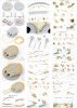 Pontos 23008F1 IJN MIKASA 1905 Detail Up Set 1/200